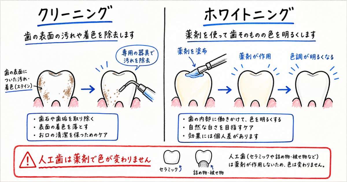 写真写りだけでなく根本から整える歯科での黄ばみ改善ケア